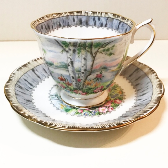 Royal Albert Bone China "Silver Birch" Tea Cup & Saucer - Picture 1 of 4